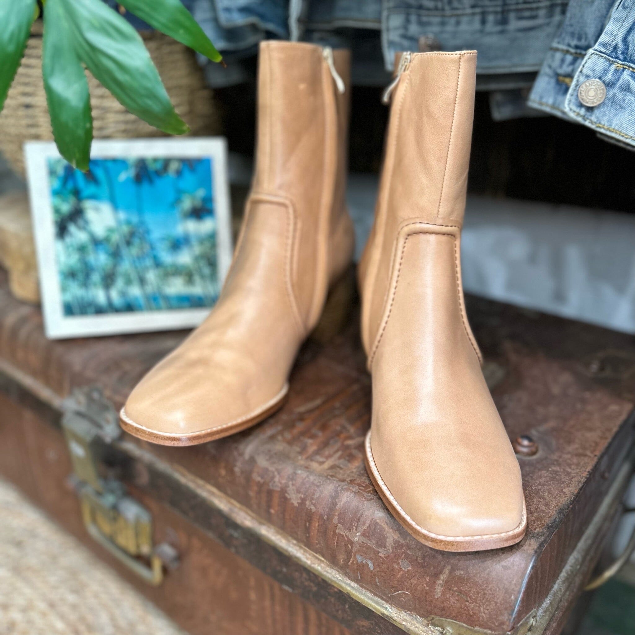 Mollini hotsell boots sale