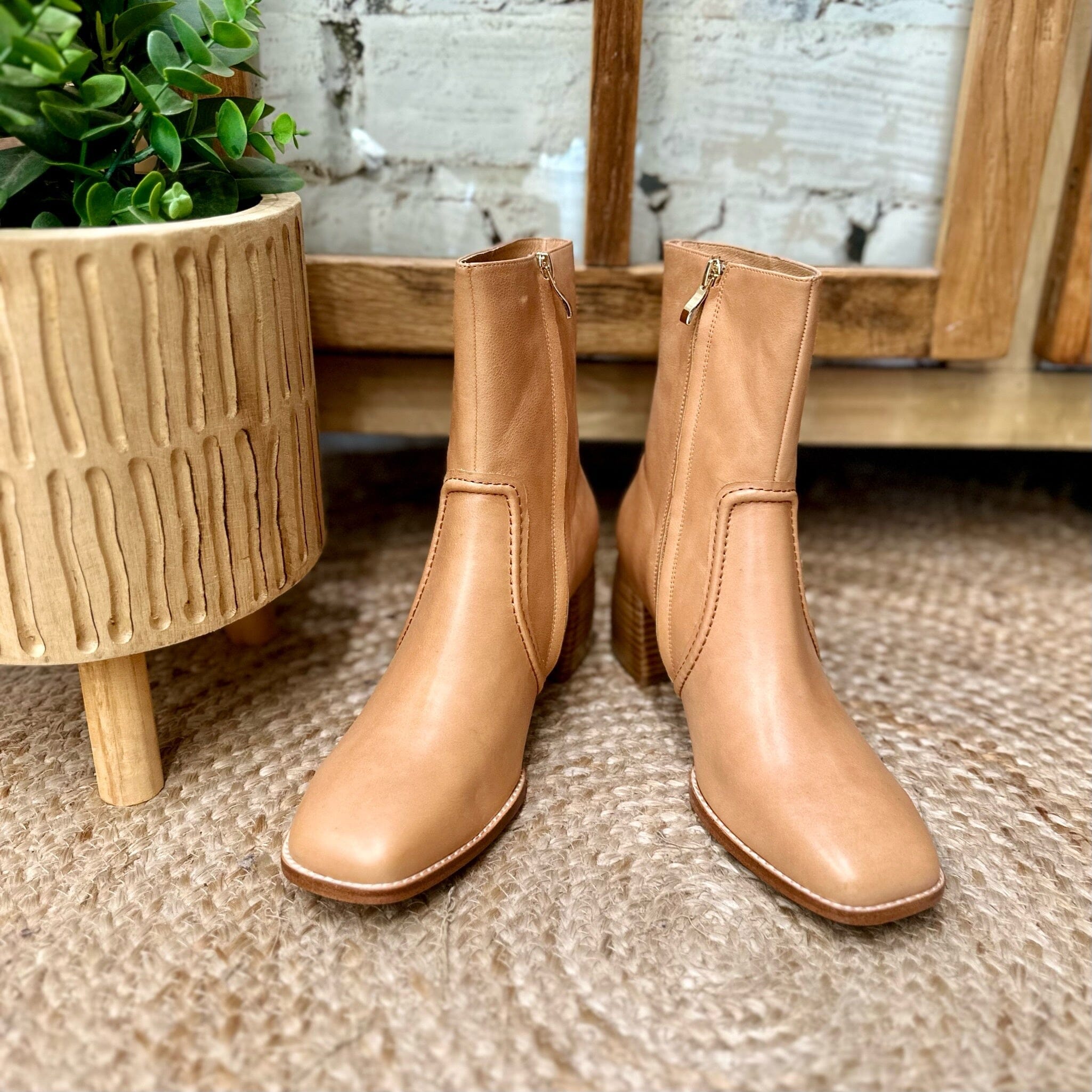 Mollini 2025 boots sale